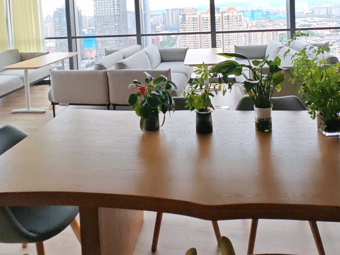 �칫�ұ���